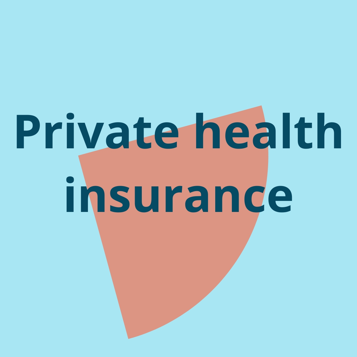 Private health insurance - TOpdesk career