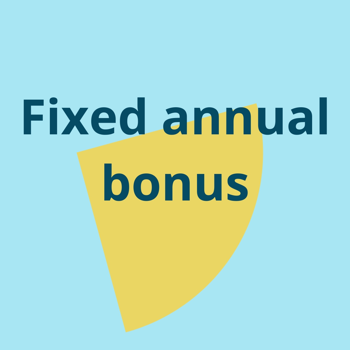 fixed annual bonus - TOPdesk career