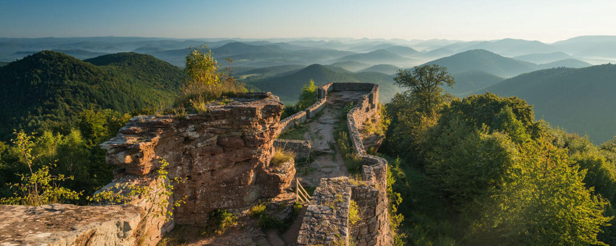 Pfaelzerwald